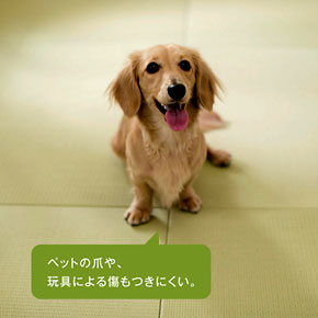 ペットの爪や、玩具による傷もつきにくい