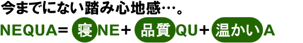 今までにない踏み心地感の置き畳です…。NEQUA=寝る(NE)+品質(QU)+温かい(A)